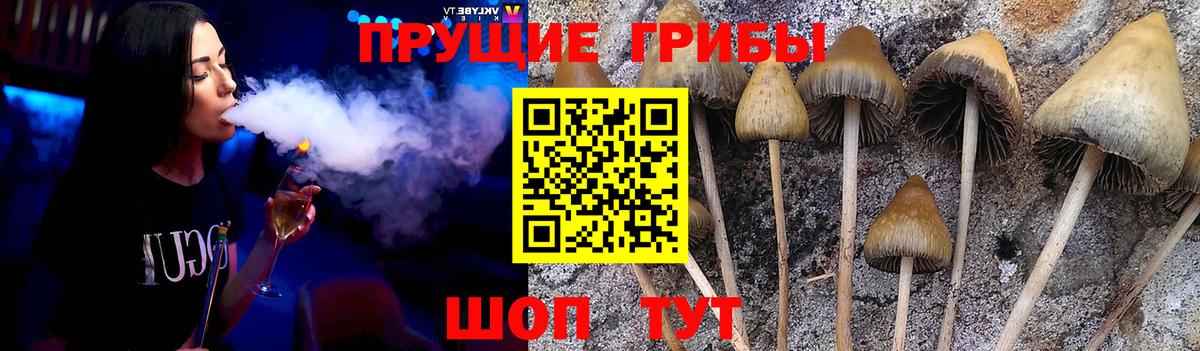 Галлюциногенные грибы GOLDEN TEACHER  Вход с VPN  Рязань 